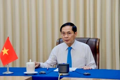 越南政府副总理兼外交部长裴青山。图自越通社