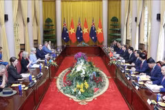 会谈现场。图自越通社