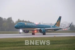 附图。图自越通社