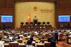 越南第十六届国会第一次会议现场。图自越通社
