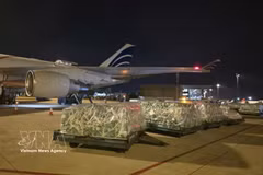 近100吨越南果蔬通过空运进军阿联酋市场。图自越通社