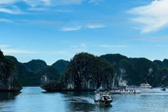 在“蓝湾58号”游船翻覆事故发生后，广宁海洋旅游需完善安全流程。图自
