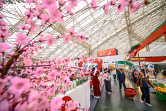 2026年春季博览会：前两日吸引超过3.2万人次参观购物。图自越通社