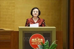 内务部长范氏青茶在会议上发表讲话。图自越通社