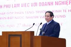 政府总理范明政发表讲话。图自越通社
