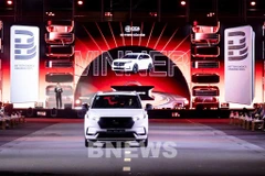 附图。图自越通社