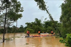 11号台风过后发生强降雨在越南多地造成严重破坏。图自越通社