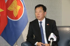 越南驻韩国大使武湖。图自越通社