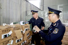 谅山省友谊国际口岸海关力量在口岸区域仓库对进口货物标签进行检查。图自越通社