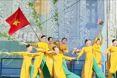 “越南文化日”活动的文艺表演。图自越通社