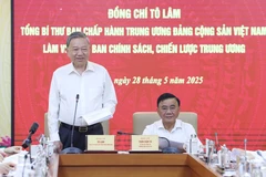 苏林总书记在会议上发表讲话。图自越通社