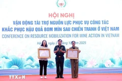 韩国国际协力机构驻越南代表机构和国际组织“越南和平树”荣获越南社会主义共和国主席授予的友谊勋章。图自越通社