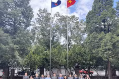 与会代表合影留念。图自越通社