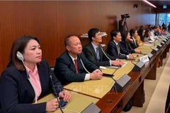 南常驻联合国、世界贸易组织及日内瓦其他国际组织代表团。图自越通社