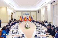 越南政府总理范明政与马来西亚总理安瓦尔·易卜拉欣举行会谈。图自越通社