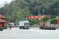 进出口货物通过谅山友谊国际口岸通关的运输车辆。图自越通社