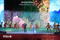 “中越一家亲 天涯共此时”文艺晚会在岘港市举行。图自越通社