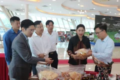 代表们了解奠边省的旅游信息和产品。图自baomoi.vn