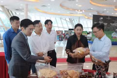代表们了解奠边省的旅游信息和产品。图自baomoi.vn