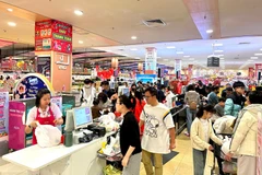 附图。图自越通社