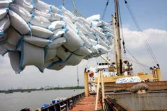 附图。图自越通社