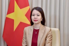 越南外交部副部长阮明姮。图自越通社