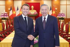 2025年5月26日，越共中央总书记苏林会见法国总统埃马纽埃尔·马克龙。图自越通社