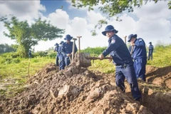 K91队赴柬埔寨搜寻烈士遗骸发现5具遗骸。图自越通社