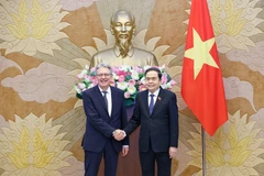 越南国会主席陈青敏在国会大厦会见德国社会民主党副主席阿希姆·波斯特。图自越通社