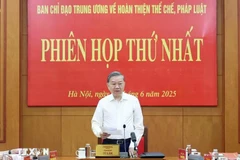 越共中央总书记苏林。图自越通社