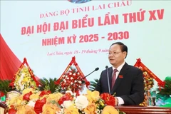 黎明银同志当选莱州省委书记。图自越通社