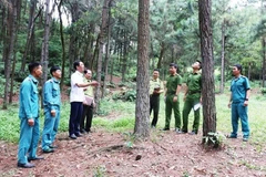 越南首都加强森林保护，巩固生态屏障。图自hanoimoi.vn