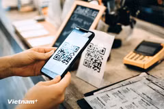 附图。图自越通社