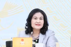 越南内务部副部长阮氏河。图自thanhtra.com.vn