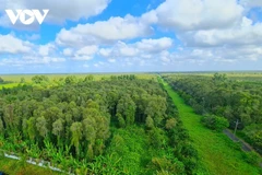 幽明下森林占地4.5万公顷，横跨金瓯省幽明县和陈文时两县。图自VOV