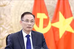 越共中央书记处书记、外交部长黎怀忠。图自越通社
