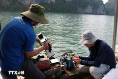 研究小组在下龙湾和芦门湾采集海水样本。图自越通社