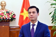 越南外交部副部长、东盟高官会（SOM）越南代表团团长邓黄江。图自越通社