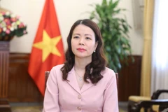 越南外交部副部长阮明姮。图自越通社