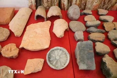 越南在北宁省羸娄古城发现大量珍贵的建筑遗迹。图自越通社