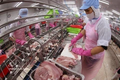 2026年一季度越南农林水产品出口增长近6%。图自越通社