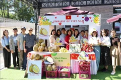 越南驻中国大使馆的榴莲展位。图自越通社