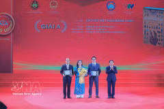 第八届国家图书奖颁奖典礼在河内举行。图自越通社