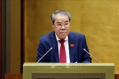 越南国会民愿与监督委员会主任杨清平。图自越通社