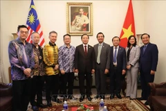 越南政府副总理陈红河会见马来西亚一些协会和企业代表。图自越通社