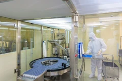 第68号决议提出到2030年越南全国力争有200万家企业的目标。图自越通社