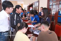 附图。图自越通社
