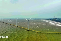 韩国-茶荣风电厂的风力涡轮机。图自越通社