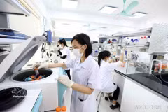 附图。图自越通社