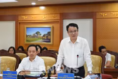 越南财政部副部长陈国芳在会议上发表讲话。图自越通社